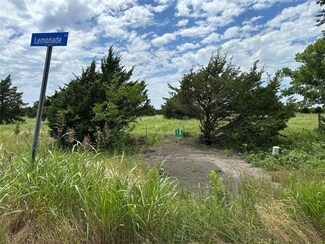 Lot 7 Lemonade Ln, Farmersville, TX 75442