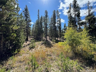 517 Augusta Dr Unit 20, Leadville, CO 80461
