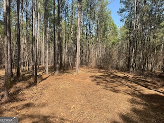 0 Faulkner Rd Unit LOT 2 10411824, Monticello, GA 31064