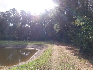 Near 1833 Butler, Salemburg, NC 28385