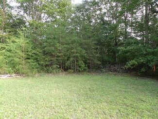 0 Creek Dr Unit 1389947, Pikeville, TN 37367
