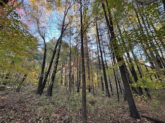 0 Township Rd 44, Somerset, OH 43783