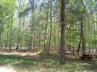 3650 Peake Mountain Rd, Fulks Run, VA 22830