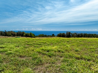 44-2745 Kalopa Mauka Rd, Honokaa, HI 96727