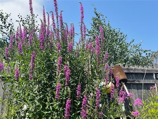 558 Connecticut Ave Unit 4, Norwalk, CT 06854