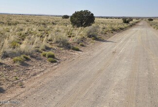 000 Clyde Rd, Snowflake, AZ 85937