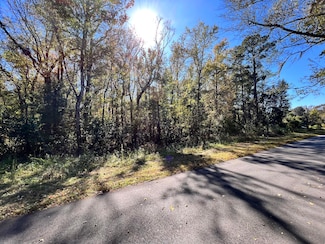 00 Shoofly Rd, Ridgeville, SC 29472