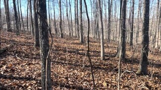 000 Private Road 3424, Mountain View, MO 65548