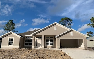 2173 W Say Dr, Citrus Springs, FL 34434