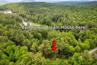 321 Antler Lake Rd, Wevertown, NY 12886