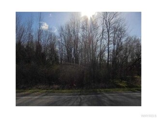 V/L Hosmer Rd, Gasport, NY 14067