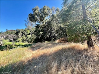 0 Near Fort Hunter Ligget Unit NS24177303, Lockwood, CA 93426