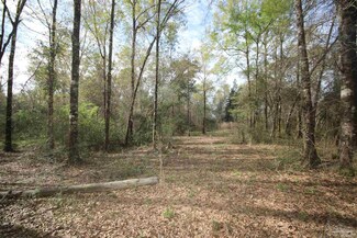 7486 Wild Horse Way, Milton, FL 32570