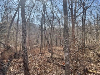 TBD Quantock Hills Ln, Bella Vista, AR 72715