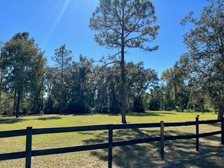 0 NE 19 St Unit MFRG5074907, Williston, FL 32696