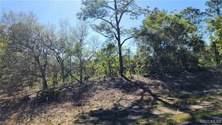 2882 W Lambert Dr, Pine Ridge, FL 34433