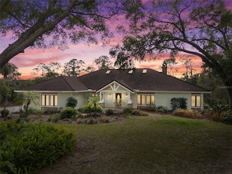 2931 Sunbittern Ct, Windermere, FL 34786