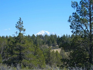 0 21 6 Acres Canary Ln Unit 4 20250620, Hornbrook, CA 96044