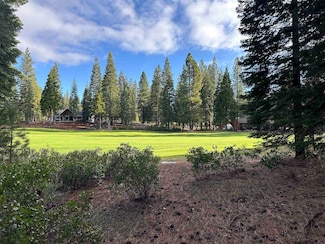 73 Idylberry Dr, Lake Almanor, CA 96137