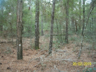 0 SW 137 Ct Unit OM636678, Ocala, FL 34482