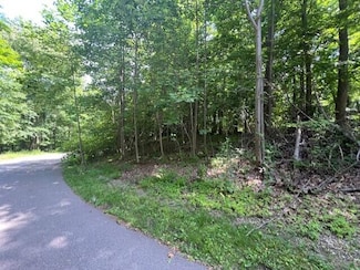 16975 River Bluff Dr Unit 1, New Buffalo, MI 49117