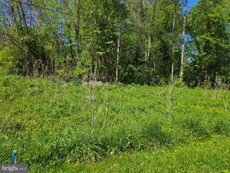 0 Dogwood Dr Unit VALA2007846, Louisa, VA 23093