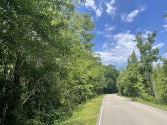 0 Foster Rd, Sumrall, MS 39482