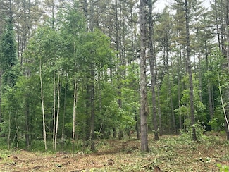 0 Mayville Rd, Bethel, ME 04217