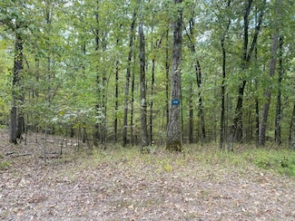 4 Princesa Trace, Hot Springs Village, AR 71909