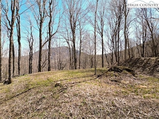 796 Goat Mountain Rd, Zionville, NC 28698