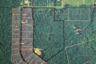 Parcel 1 Wood Lake Rd, Pierson, MI 49339