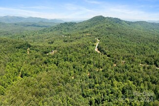1831 John Wilson Ln Unit 3 & 4, Cajah's Mountain, NC 28645