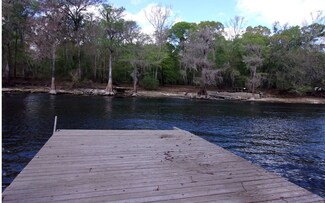 11889 NW 11th Ct, Branford, FL 32008