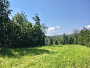 10417 Bentwood Cove Dr, Apison, TN 37302