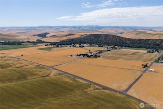 0 De Witt Rd, Waitsburg, WA 99361