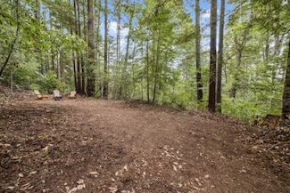 1365 Caledonia Ave, Ben Lomond, CA 95005