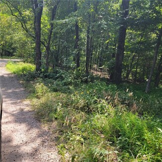 0 Cr 108 Unit 1252720, Eureka Springs, AR 72632
