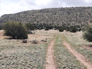54150 N Encanto Ln, Seligman, AZ 86337