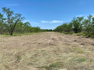 1127 Lcr 607, Mart, TX 76664