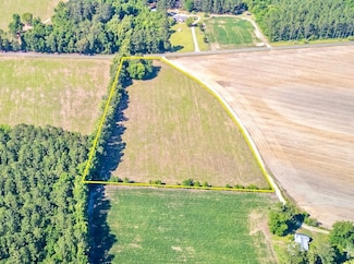 Tbd Cottingham Rd Tract F, Clio, SC 29525