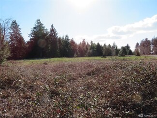 0 Ranta Rd Unit 1247188, South Bend, WA 98586