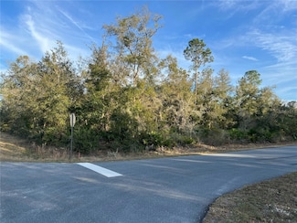9919 N Pink Moss Point, Crystal River, FL 34428