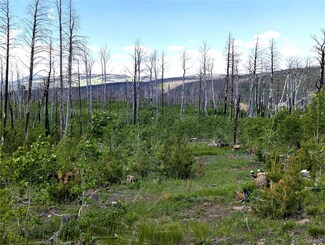 1590 Douglas Ln, Fort Garland, CO 81133