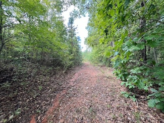 Off Hwy 261 Unit LotWP001, Centerville, NC 27549