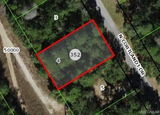8942 N Cortlandt Dr, Citrus Springs, FL 34434
