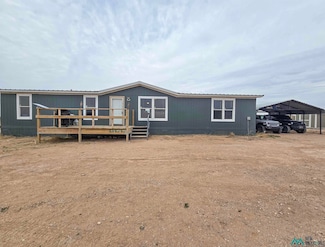 650 Jicarilla Rd, Hagerman, NM 88232