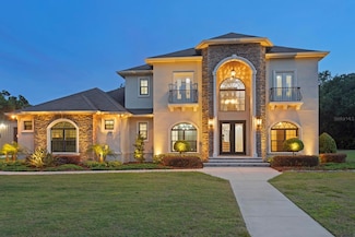18202 Bledsoe Loop, Lithia, FL 33547