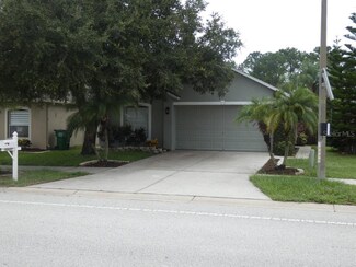 30607 Birdhouse Dr, Wesley Chapel, FL 33545