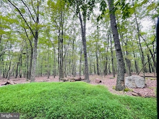 357 White Face Cir, North Union Township, PA 17985