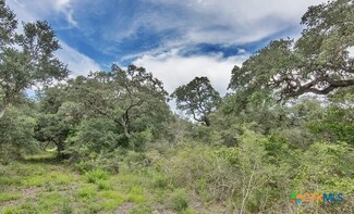 Tract 8 Prairie St, Edna, TX 77957